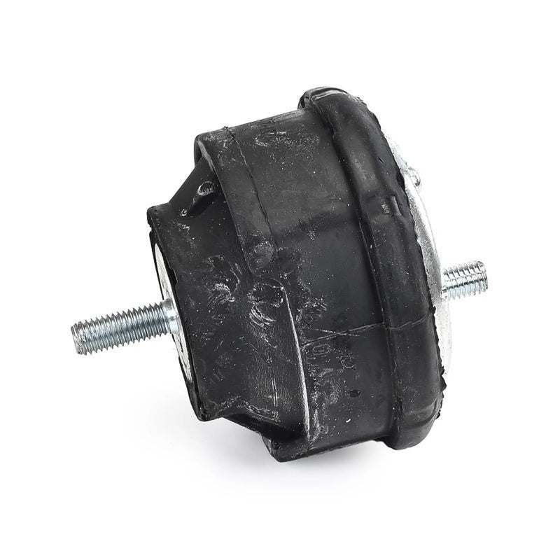 Delphi Engine Mount Mounting both sides TEM127