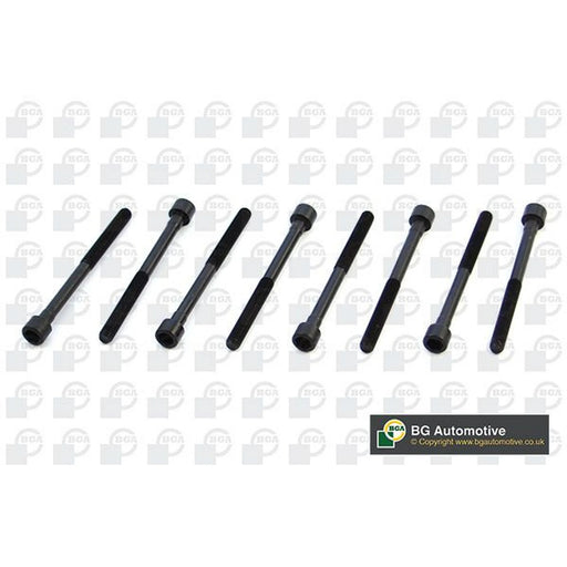 BGA Cylinder Head Bolt Set M10 BK6301