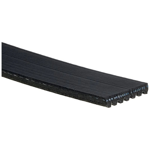 Gates Multi V-Ribbed Drive Belt 7PK1165