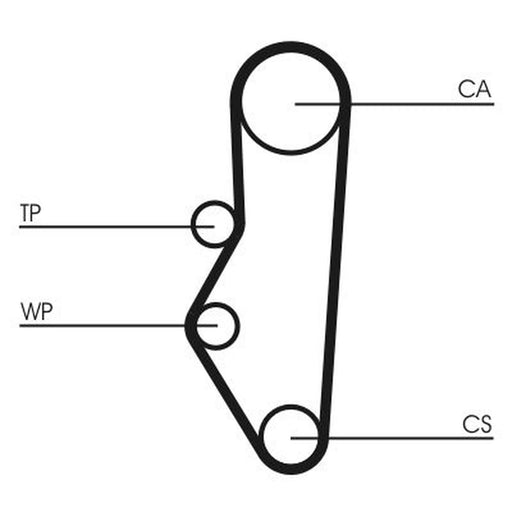 Continental CTAM Timing Belt Cambelt 113 Teeth CT525