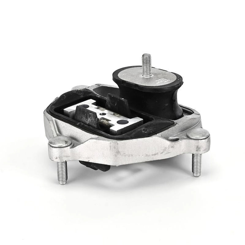 Delphi Automatic Transmission Mounting Rear TEM275