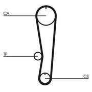 Continental CTAM Timing Belt Cambelt 97 Teeth CT895