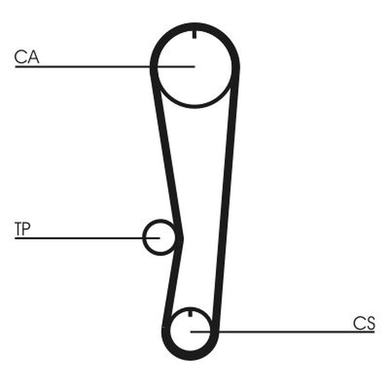 Continental CTAM Timing Belt Cambelt 97 Teeth CT895
