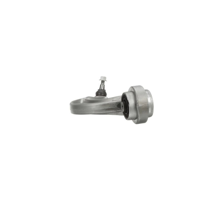 Delphi Control/Trailing Arm Rear TC6391