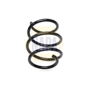 NAPA Front Suspension Coil Spring NCS2438