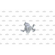 NRF EGR Cooler (Exhaust Gas Recirculation) 48357