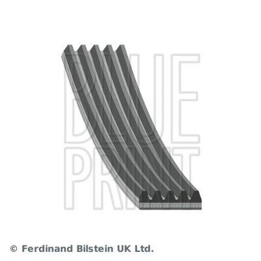 Blue Print Multi V-Ribbed Drive Belt AD05R880
