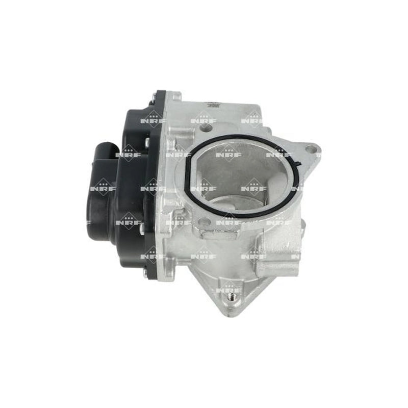 NRF Exhaust Gas Recirculation Valve 48389