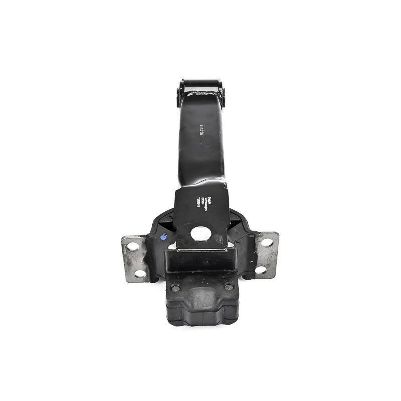 Delphi Engine Mount Mounting Rear TEM243