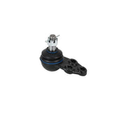 Delphi Ball Joint Lower TC8543