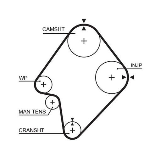 Gates Timing Belt Cambelt 164 Teet 5300XS