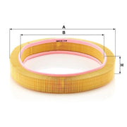 MANN-FILTER Engine Air Filter C 42 098