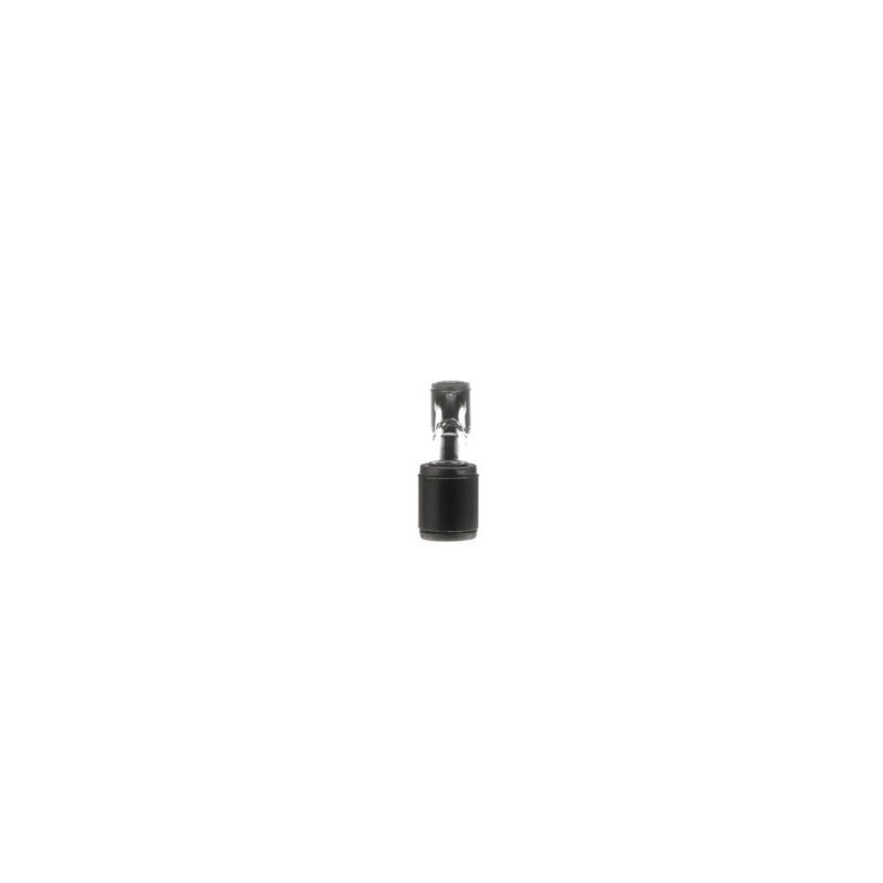 Delphi Control/Trailing Arm Front TC5970