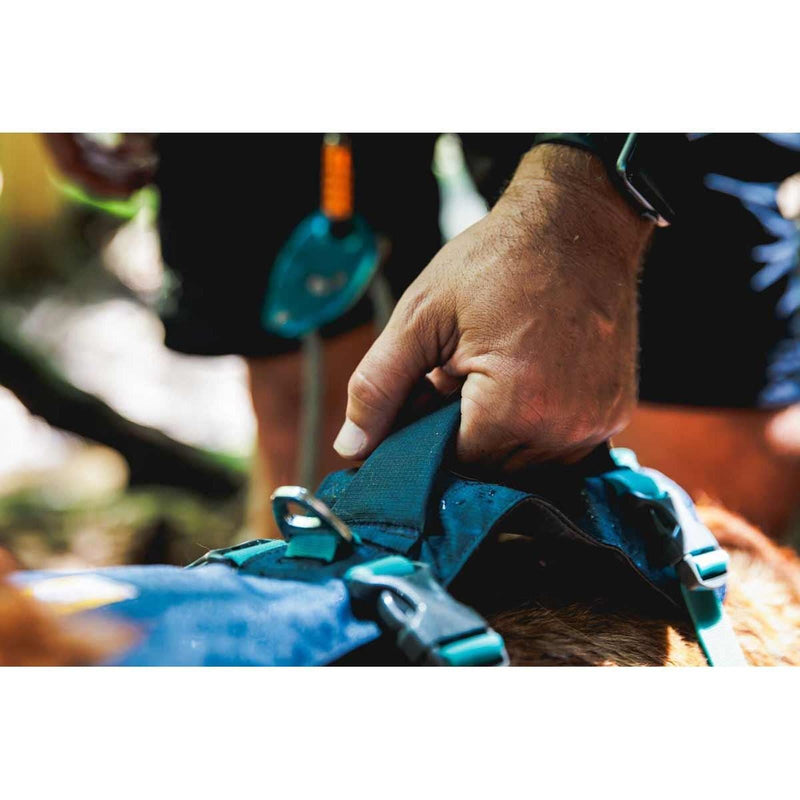 Ruffwear Flagline Dog Harness with Handle in Basalt Grey (Small) - Ruffwear - Van Life Living