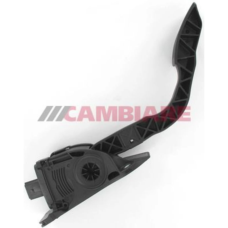 Cambiare Throttle Position Sensor VE378073