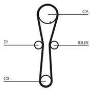 Continental CTAM Timing Belt Kit with Rollers CT954K1