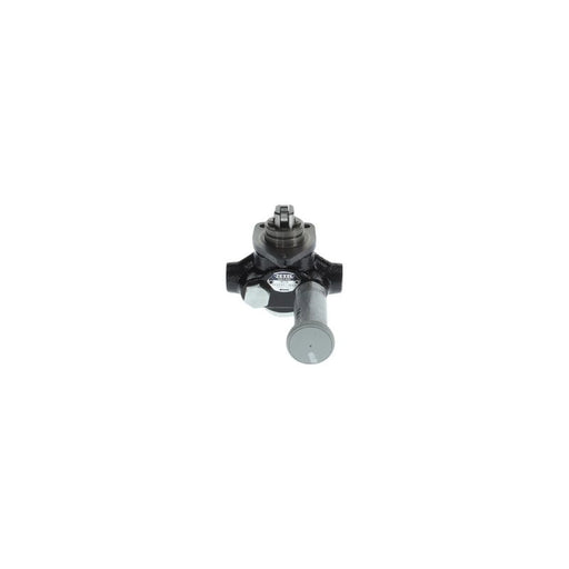 Bosch Fuel Pump Assembly H 105 207 168