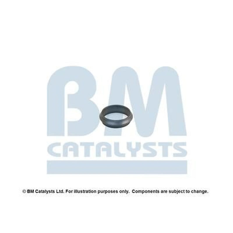 BM Catalysts Exhaust Pipe Mounting Kit FK70294A