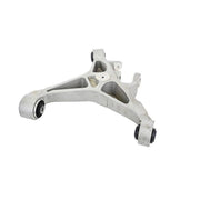 Delphi Control/Trailing Arm Lower TC4795