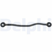 Delphi Control/Trailing Arm Rear TC6009