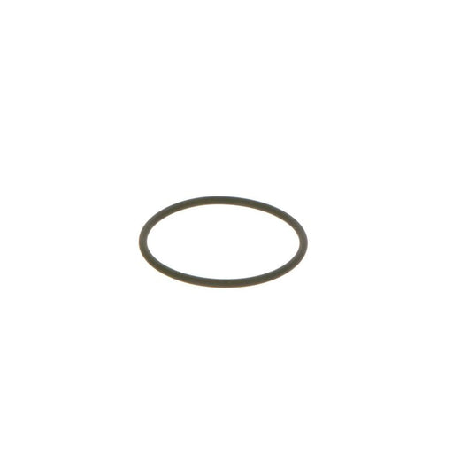 Bosch Rubber Seal Ring F 00N 202 130