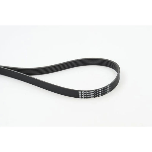Continental CTAM Multi V-Ribbed Drive Belt 6PK1318