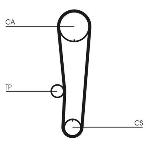 Continental CTAM Timing Belt Cambelt 97 Teeth CT1017