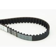 Continental CTAM Timing Belt Cambelt 123 Teeth CT825