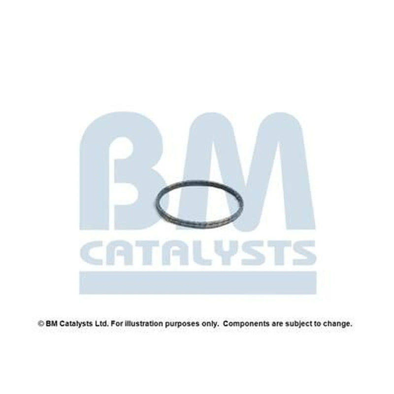 BM Catalysts Fitting Kit FK92647A FK92647A