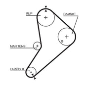 Gates Timing Belt Cambelt 123 Teeth 5021
