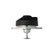 Valeo Exhaust Gas Recirculation Valve 703266