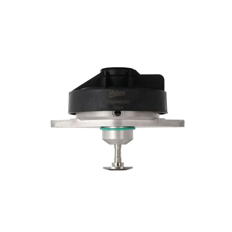 Valeo Exhaust Gas Recirculation Valve 703266