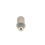 Bosch Fuel Rail Pressure Relief Valve (Common Rail Diesel) 1 110 010 029
