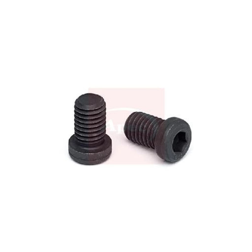 Apec Front Brake Disc Bolt ADS9
