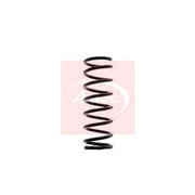 Apec Rear Suspension Coil Spring ACS1349