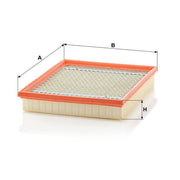 MANN-FILTER Engine Air Filter C 30 130/1
