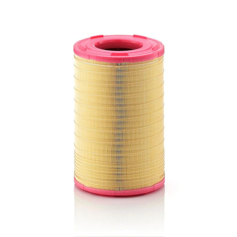 MANN-FILTER Engine Air Filter C 25 003