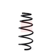 Apec Front Suspension Coil Spring ACS2008