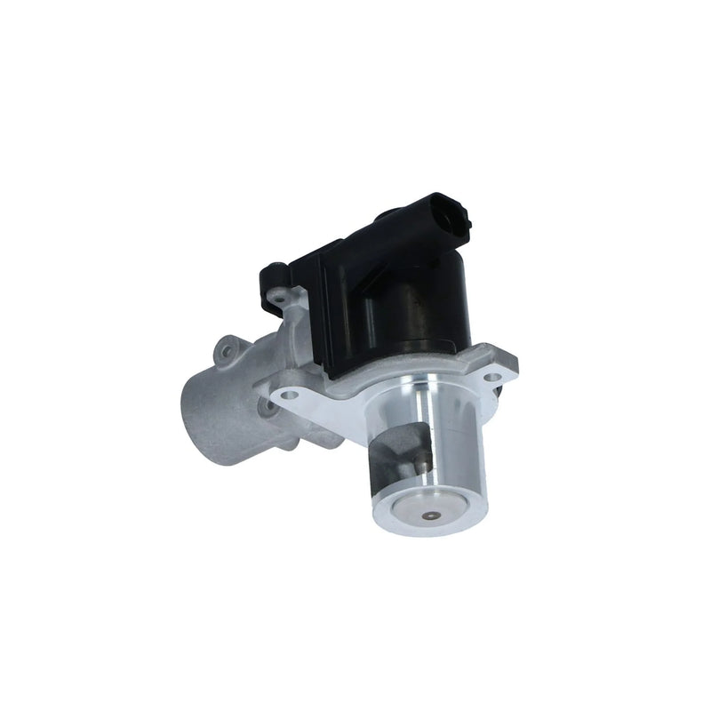 NRF Exhaust Gas Recirculation Valve 48386