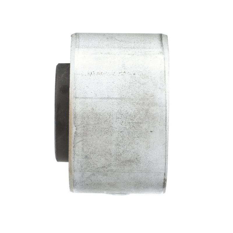 Delphi Axle Beam Bushing Rear TD1658W