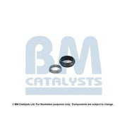 BM Catalysts Fitting Kit FK90273A FK90273A
