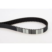 Continental CTAM Timing Belt Cambelt 123 Teeth CT1099