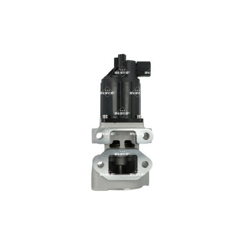 NRF Exhaust Gas Recirculation Valve 48675