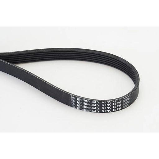 Continental CTAM Multi V-Ribbed Drive Belt 6PK1870