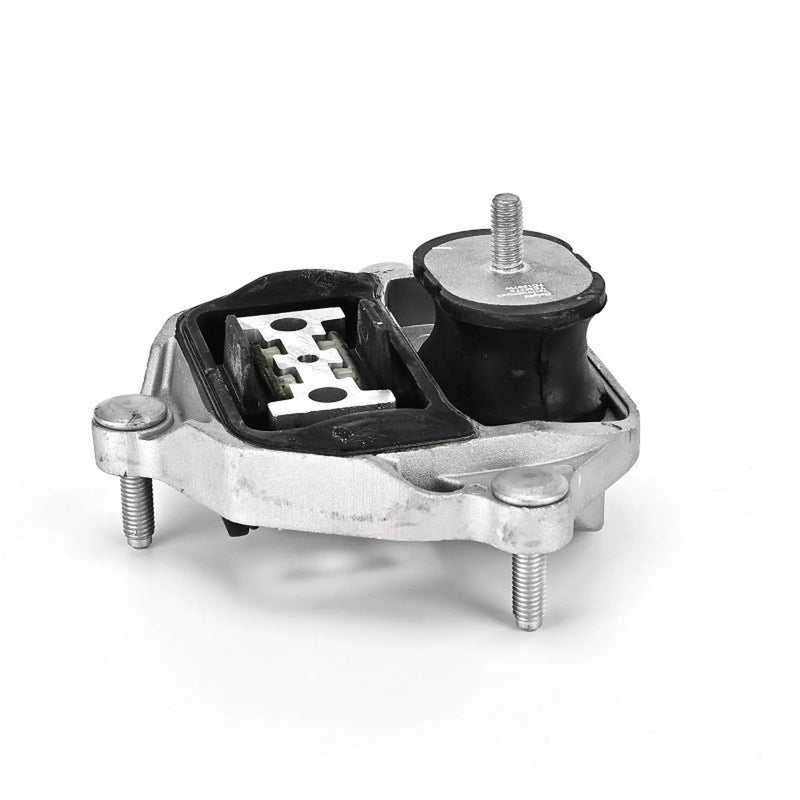 Delphi Automatic Transmission Mounting Rear TEM275