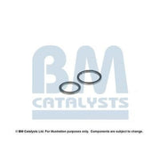 BM Catalysts Fitting Kit FK80297A FK80297A