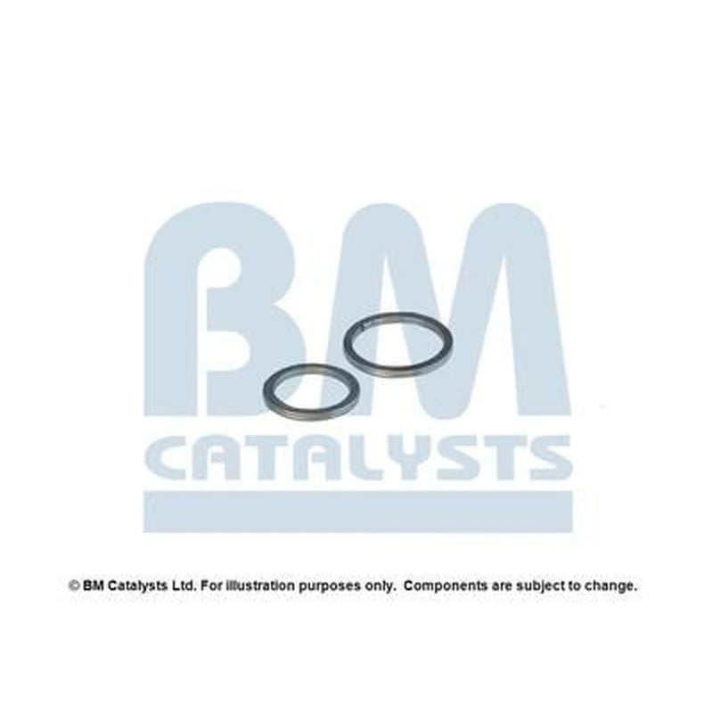 BM Catalysts Fitting Kit FK80297A FK80297A