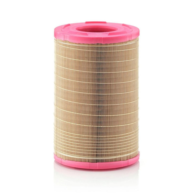 MANN-FILTER Engine Air Filter C 25 730/1