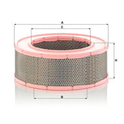 MANN-FILTER Engine Air Filter C 31 220
