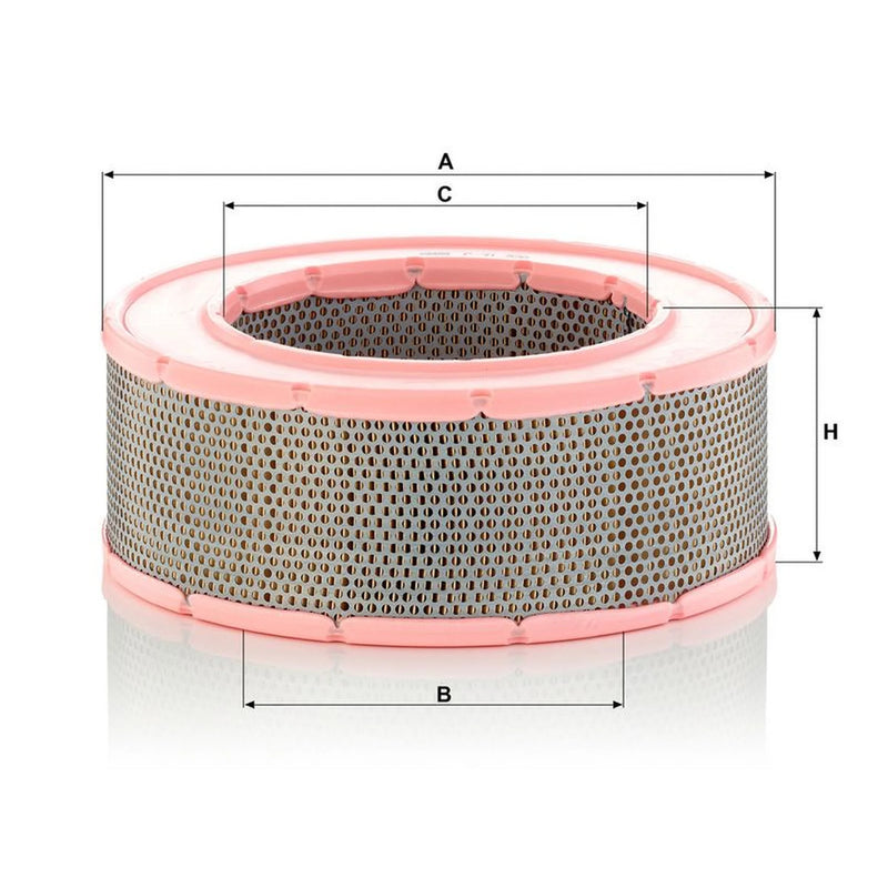 MANN-FILTER Engine Air Filter C 31 220